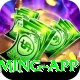 PKWin Gold Gaming App